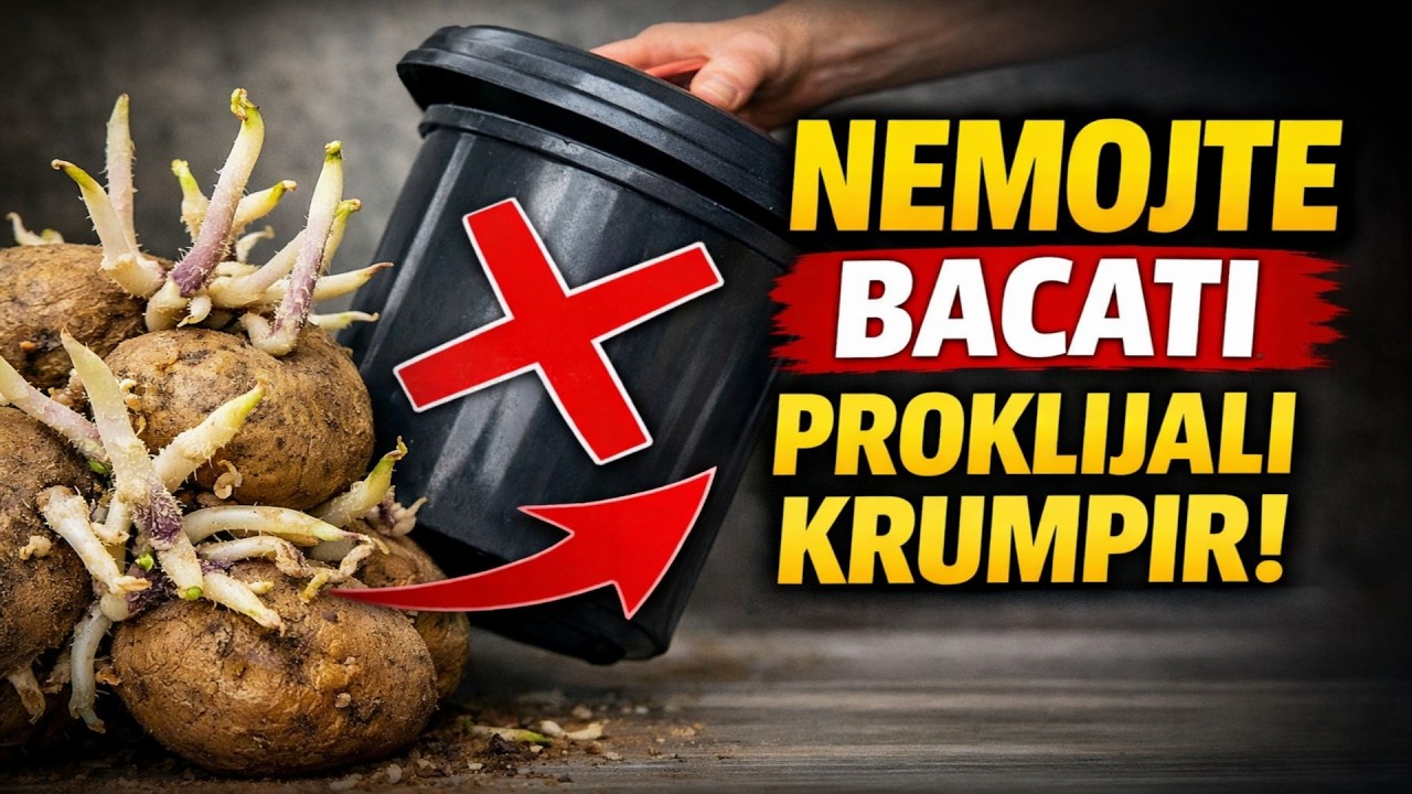 Krumpir vam je proklijao? NEMOJTE ga BACITI! Ovaj genijalni starinski trik pretvorit će ga u pravo