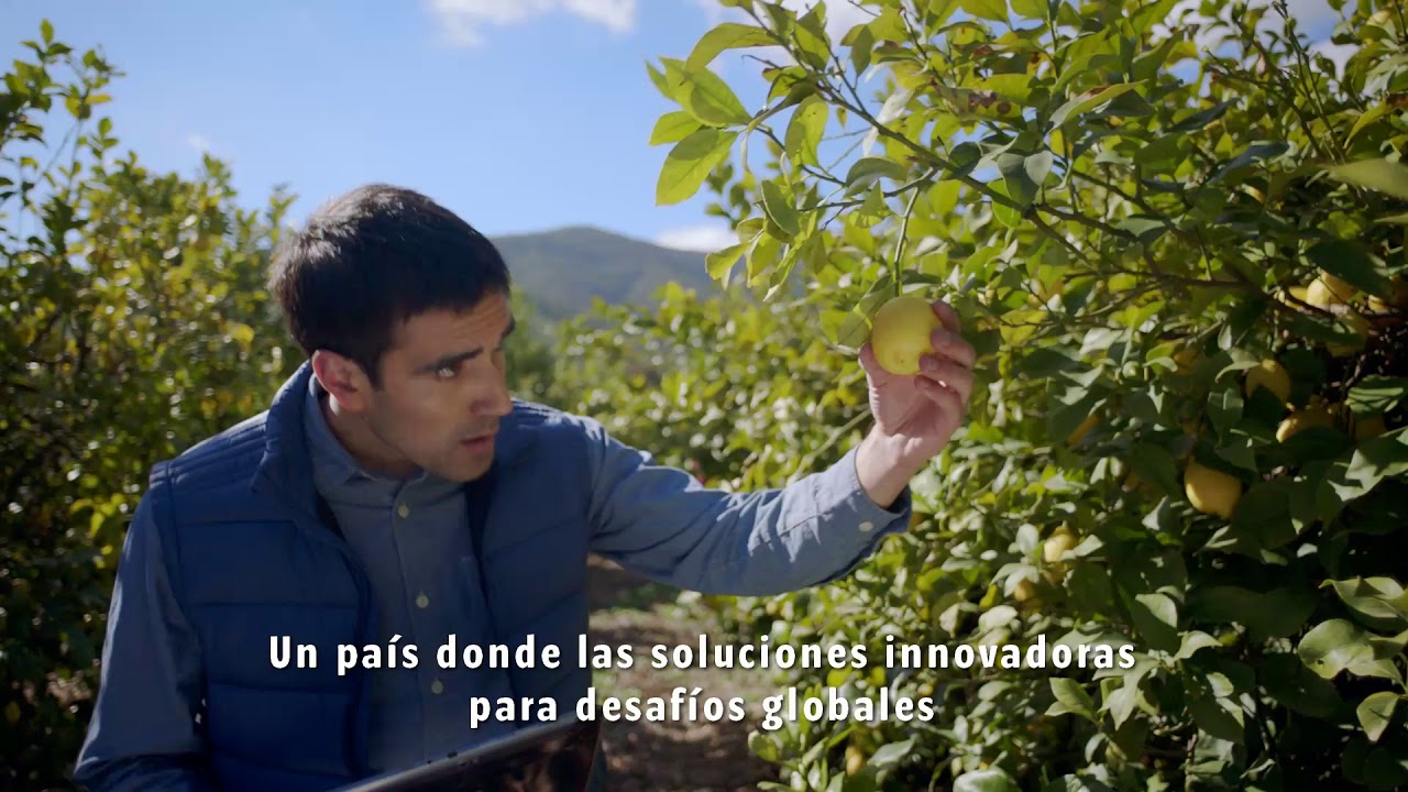 Are you searching for Agroindustrial Engineering Services?
