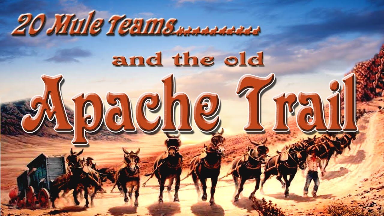 20 Mule Teams and the Apache Trail