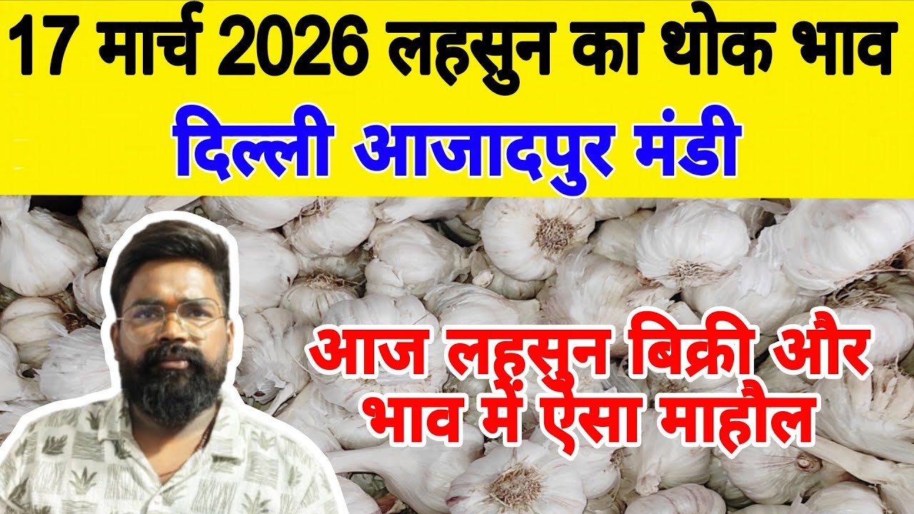 17 March 2026 | Today Garlic Market Price | Garlic Price The Shocking Prediction #mandirates