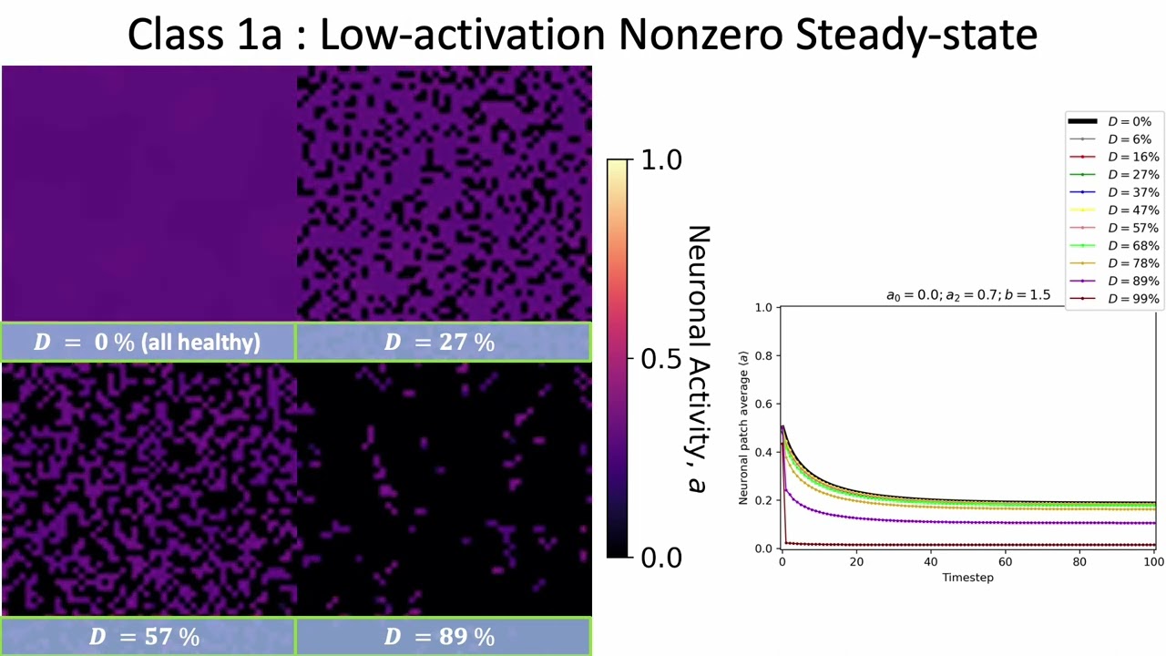 [SPP 2023] Spatiotemporal Dynamics of Spike-Defective Neurons in a Neuronal Cellular Automata