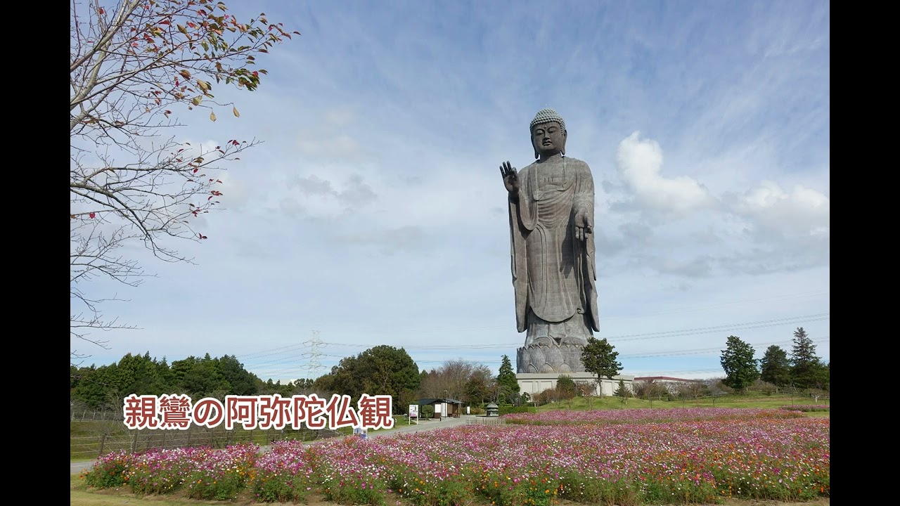 親鸞の阿弥陀仏観