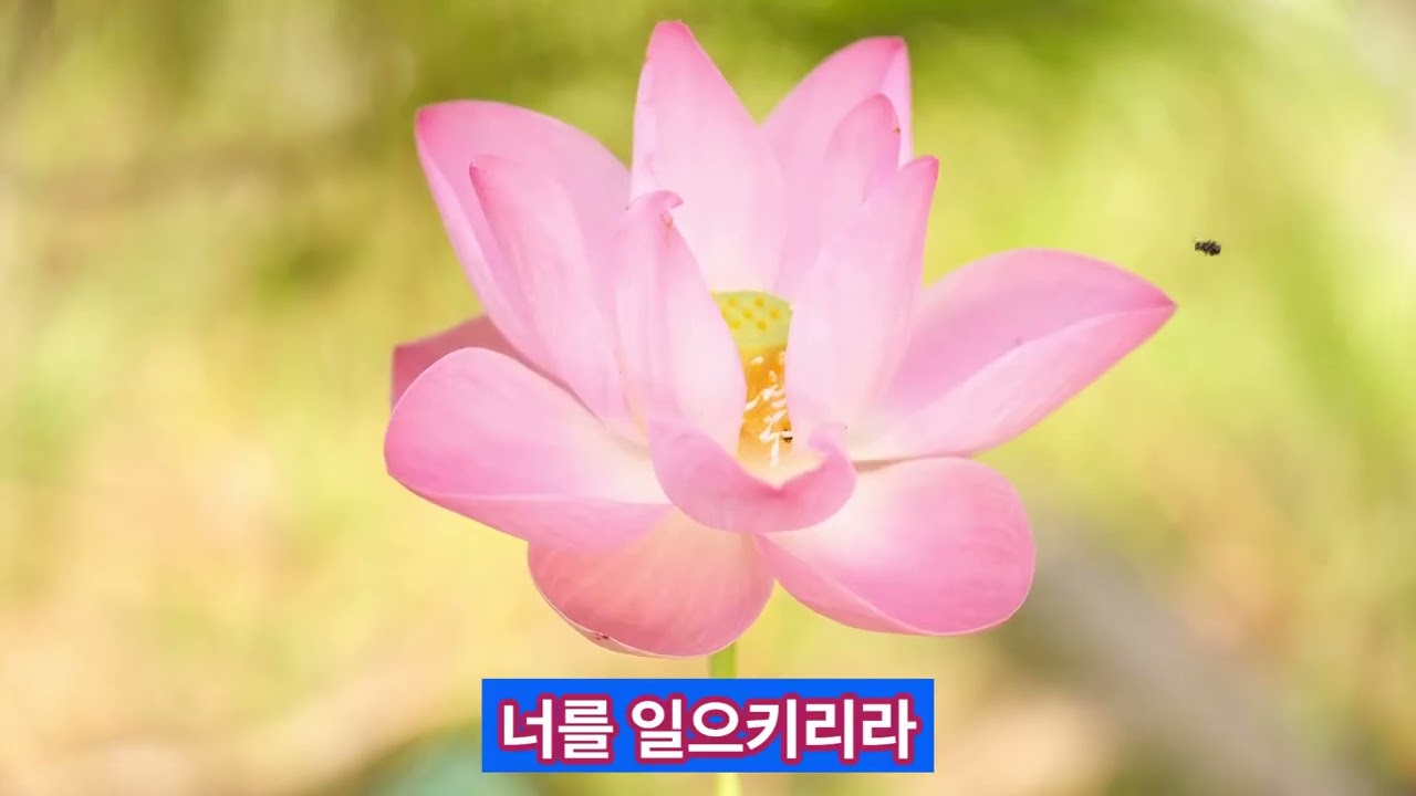 주가 찾으시는 한 가지(시편 50편 11~15절)