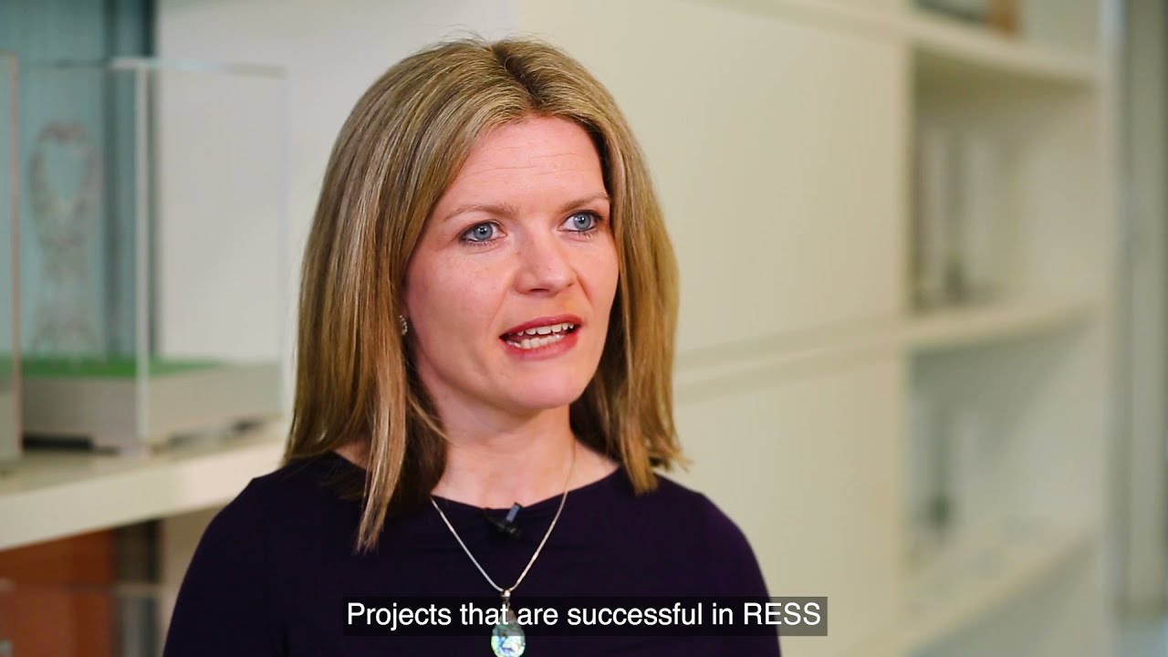 The Renewable Electricity Support Scheme