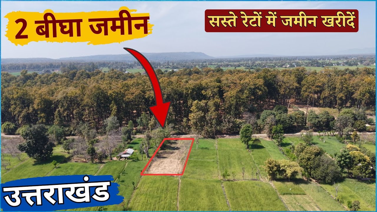 Forest Touch 2 Bigha Land | Nainital District | 2  Nali land | best Option for You