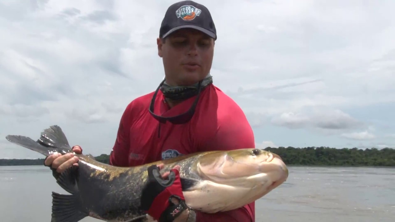PGM CORAÇÃO DE PESCADOR RIO TELES PIRES 2017 HD