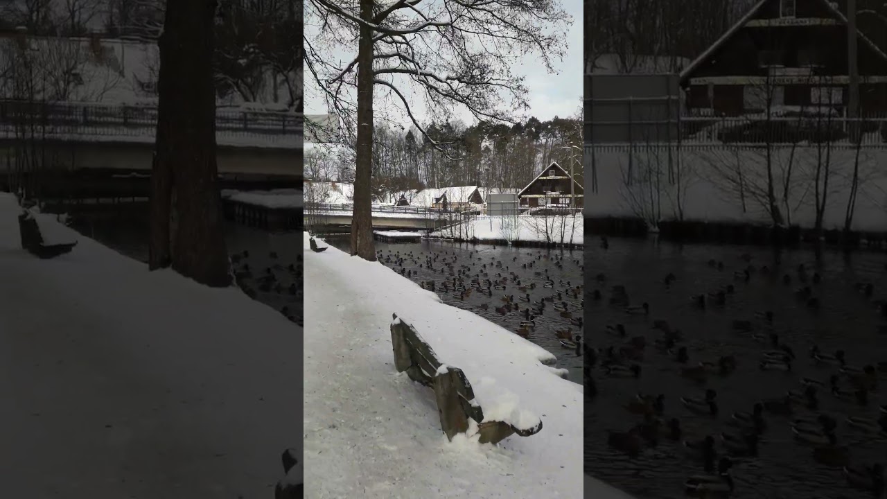 Mazurska Pętla Rowerowa 2026-01-17 Ruciane-Nida, Jezioro Nidzkie, Promenada, ex PTTK