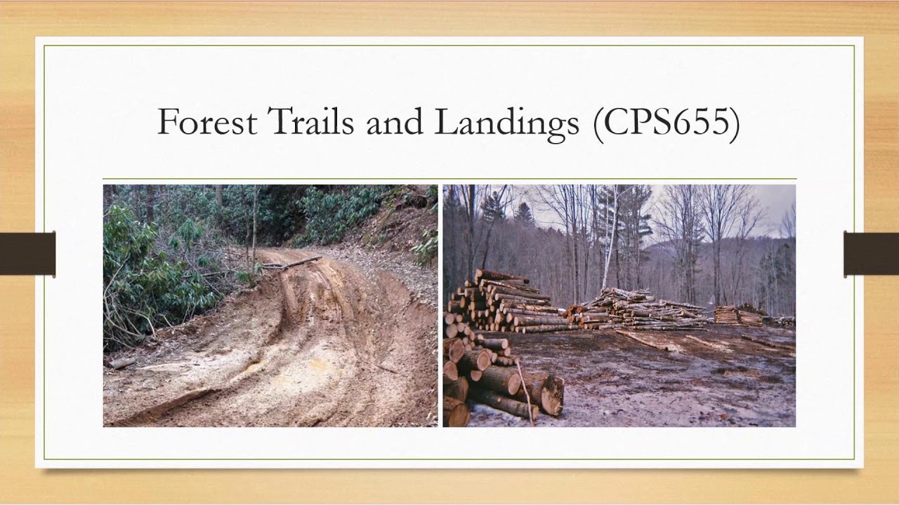 Forestry and Environmental Quality Incentive Program (EQIP) Webinar