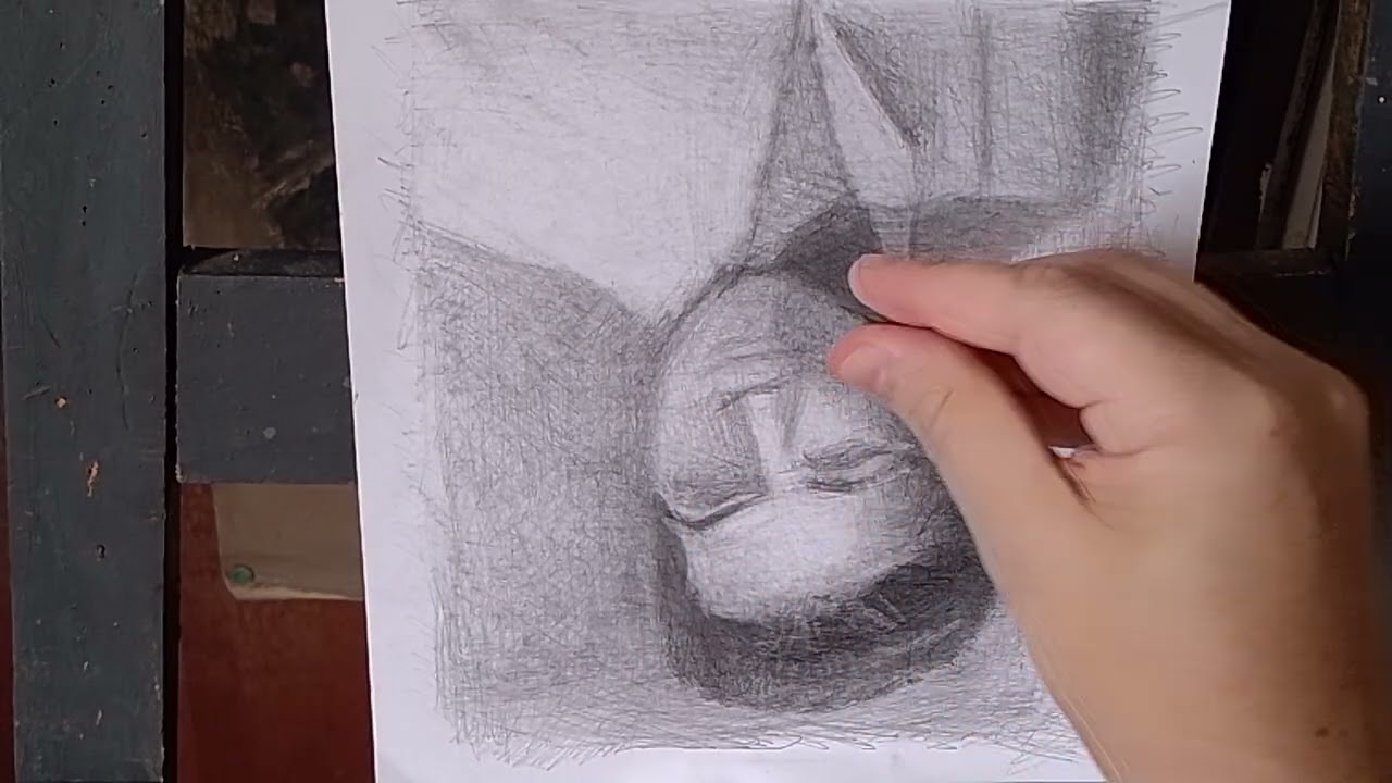 Dibujo y pintura en línea video 5