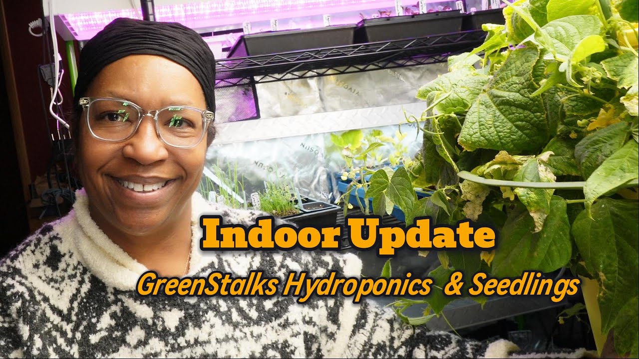 Обновление за конец января - GreenStalks, гидропоника и рассада