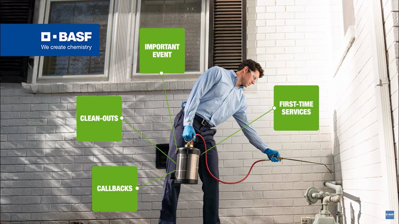 Meet Ridesco WG Insecticide - the Rapid Response Heavy Hitter