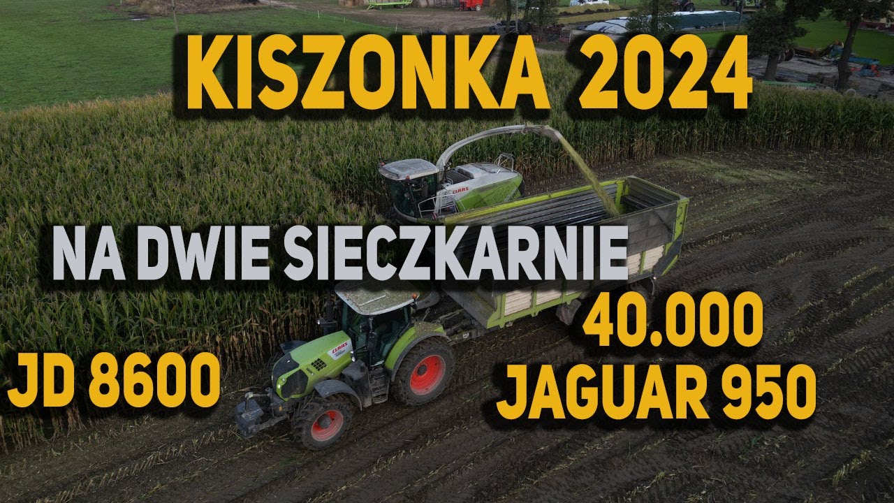 Kiszonka z kukurydzy na 2 sieczkarnie. Porównanie JD 8600 vs  Claas Jaguar 950|Trans-Lis| Świerkot