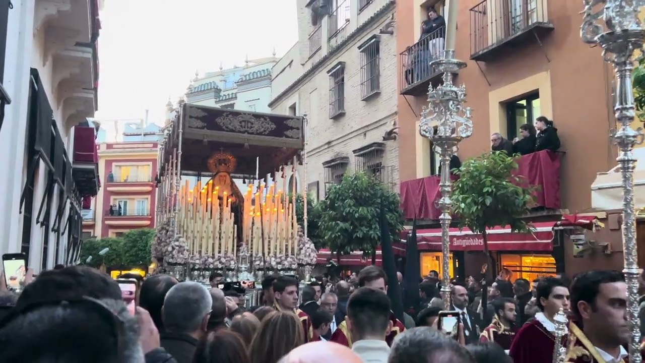 Virgen De Los Dolores Hermandad De Los Servitas 2024