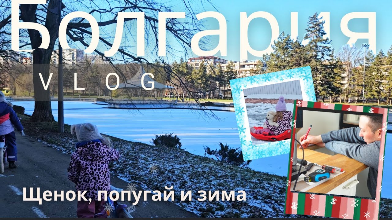 🏡 Наша зимняя жизнь в Болгарии 🇧🇬 | Новый щенок Money 🐶 | Быт эмигрантов без фильтров