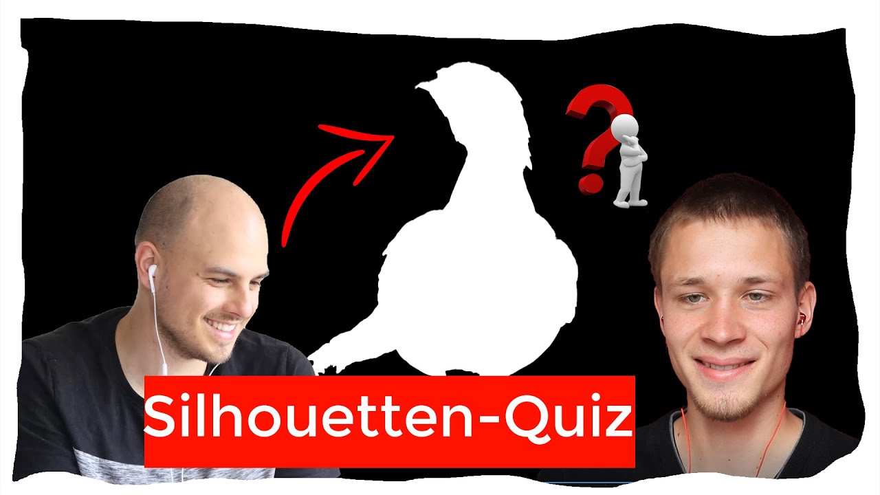 Vogel anhand ihrer Silhouetten erkennen - mit Chris Kaula Teil 1
