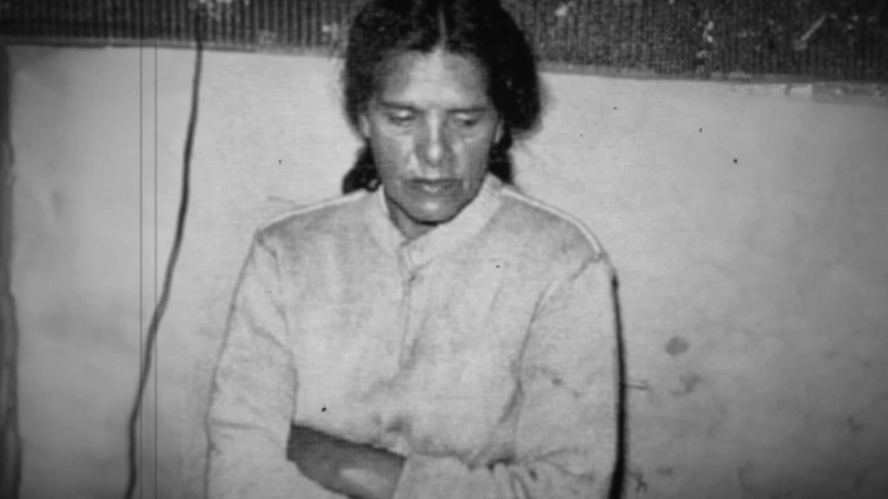 Historias Innecesarias: La tamalera de la Portales