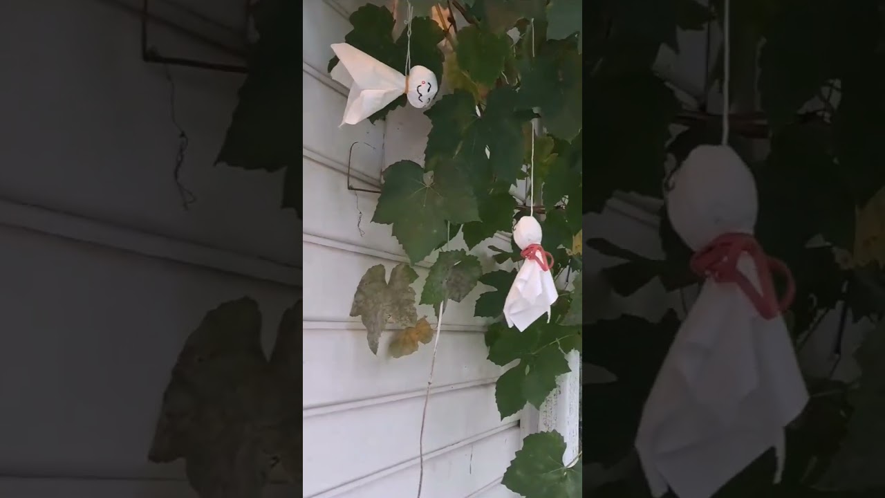 teru teru bozu
