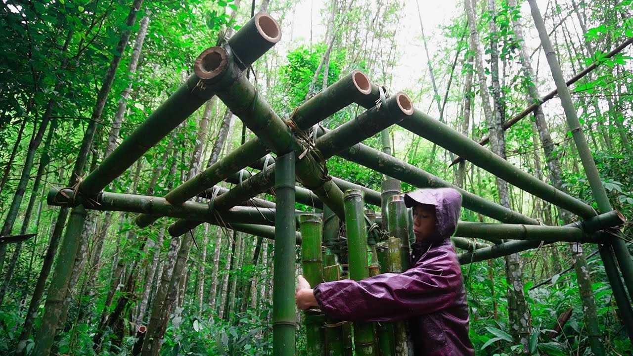 Build a bamboo survival shelter in the wilderness | Bushcraft Bamboo Forest & Heavy Rain EP.1