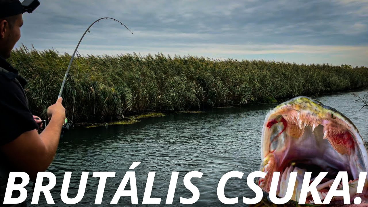Nagy vagy kis csali?! Őszi perget&eacute;s a csatorn&aacute;n! 🍂 #fishing