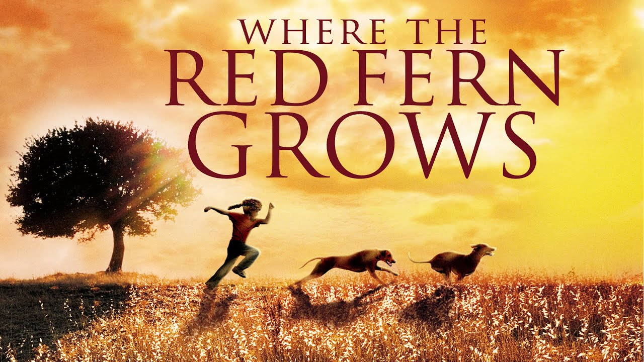 Where the Red Fern Grows (1974) Full Movie | Classic Family Drama