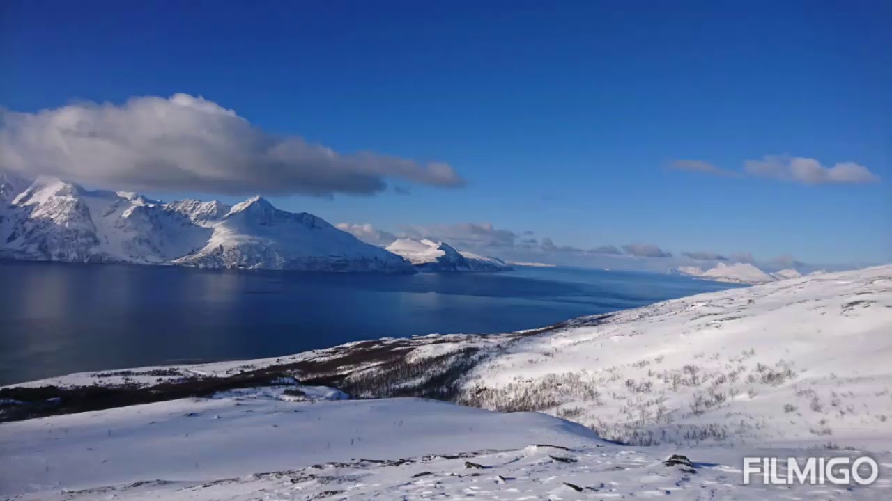 Ul&oslash;ya