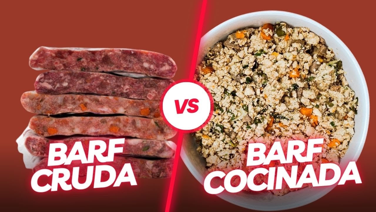 Dieta BARF Cocinada vs Dieta BARF Cruda