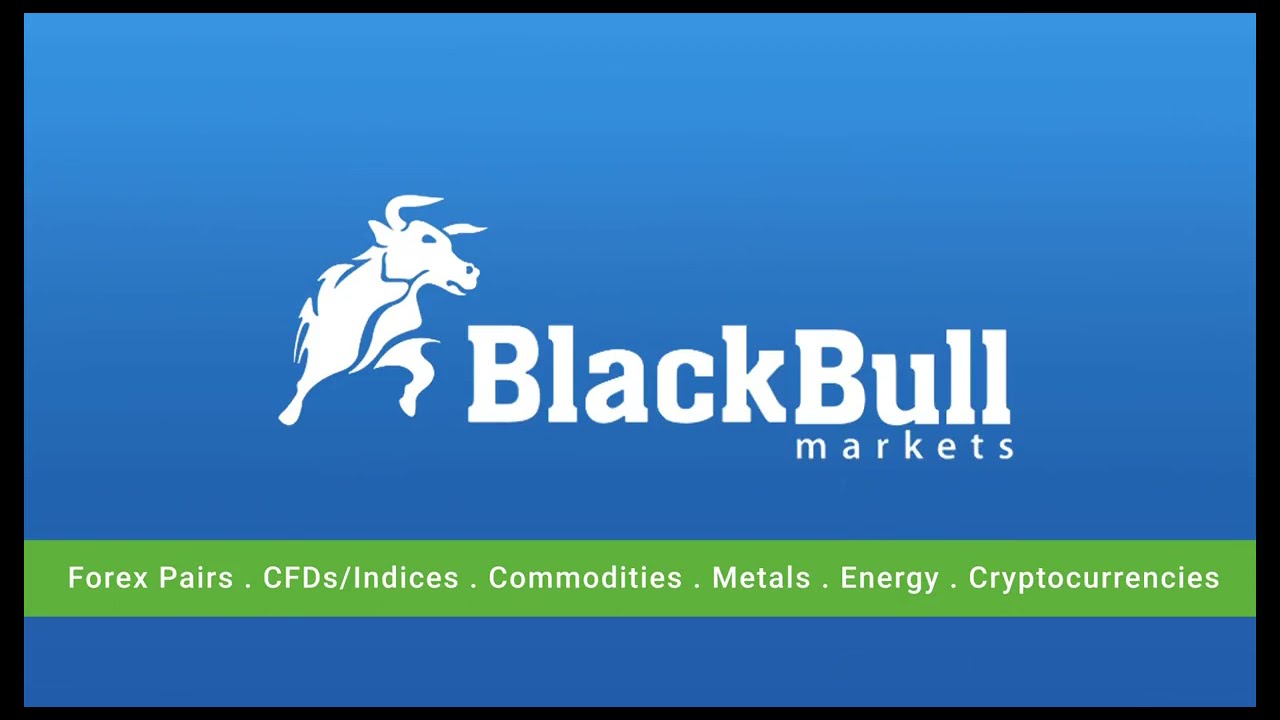 BlackBull Markets Review - How to Login to your MT4 Account