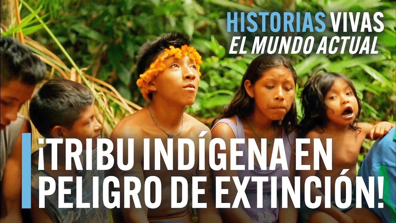 Tribu Awá: Al Borde del Exterminio en el Amazonas | Historias Vivas | Documental HD