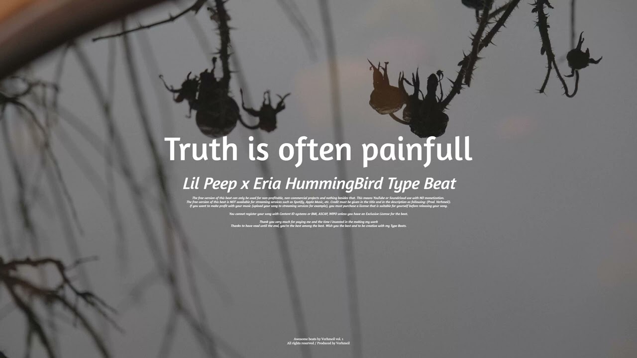 Lil Peep x Eria HummingBird Type Beat - 
