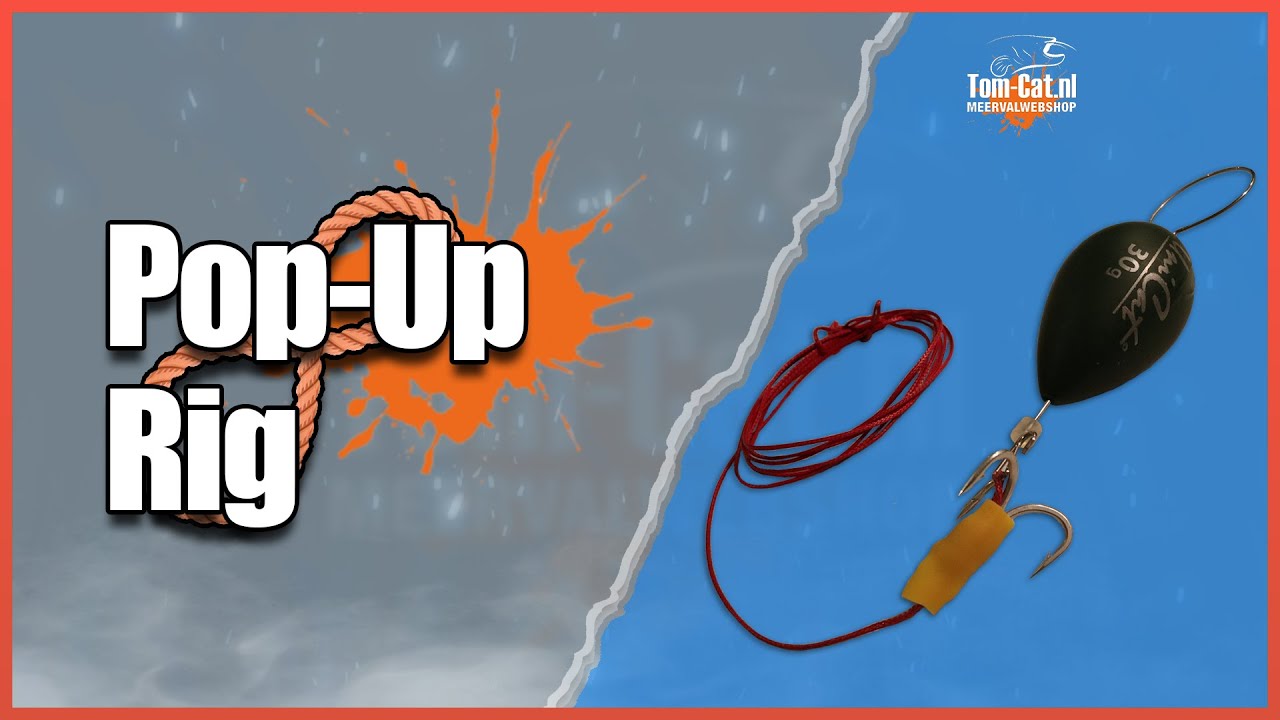 Wormen / Bloedzuiger pop-up rig voor meerval op stilstaand water | Tom-Cat Tutorials
