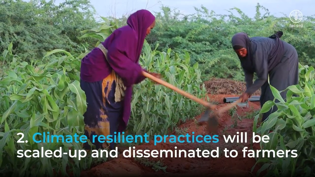 Ugbaad: Cultivating Hope and Transforming Landscapes and Livelihoods in Somalia.