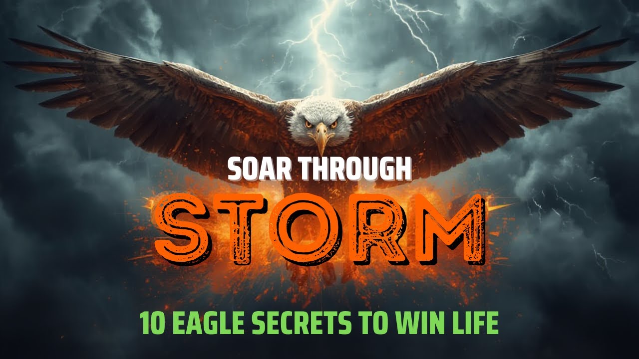 10 Powerful Life Lessons from an Eagle | Nature’s Masterclass