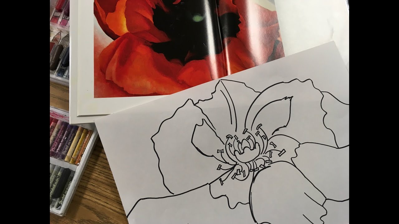 How to Draw Georgia O’Keeffe's Red Poppy Age 6 to Adult