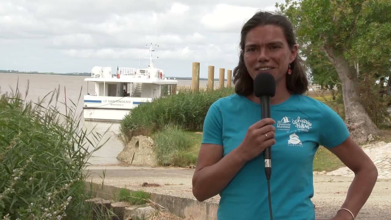 Les croisières de vitrezay, sur l'estuaire de la Gironde