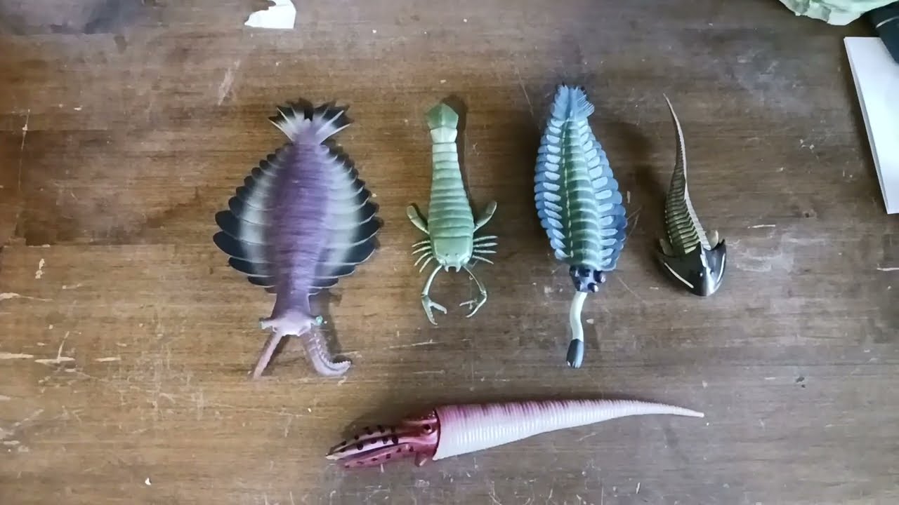 Cambrian Sea Life: Toy Many Review