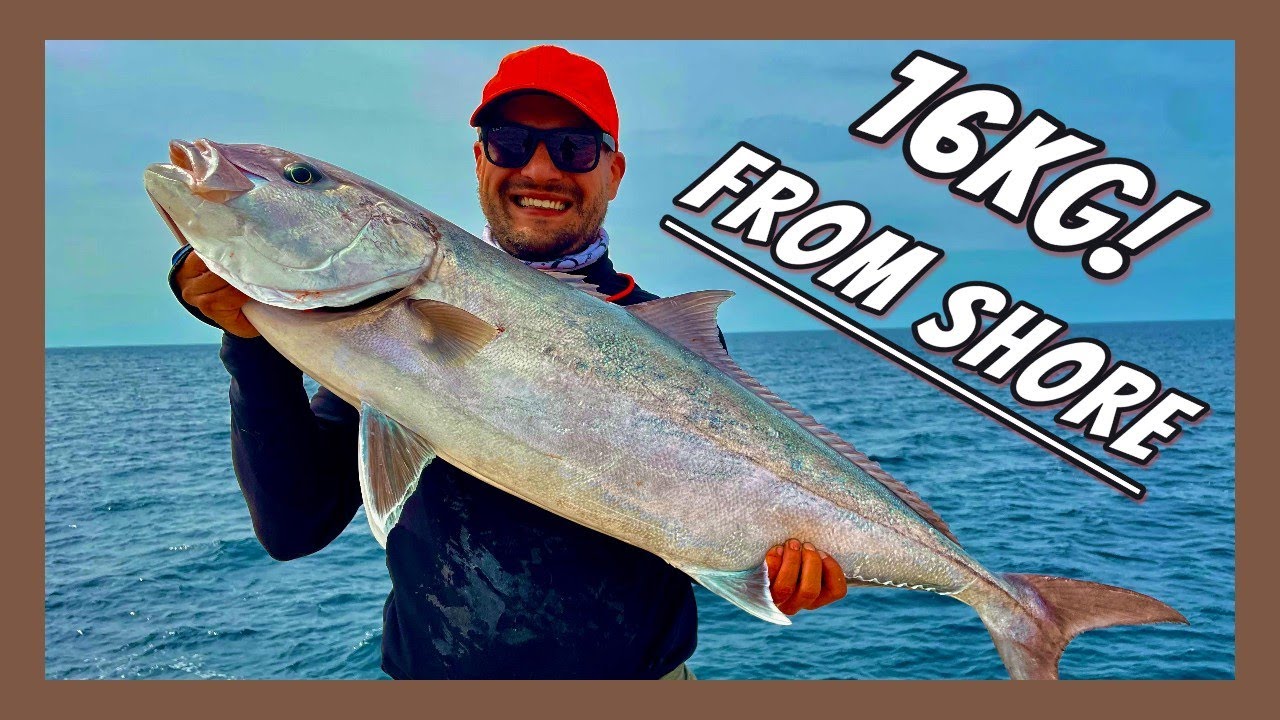 INSANE 16KG AMBERJACK from the ROCKS! (Shore Jigging)