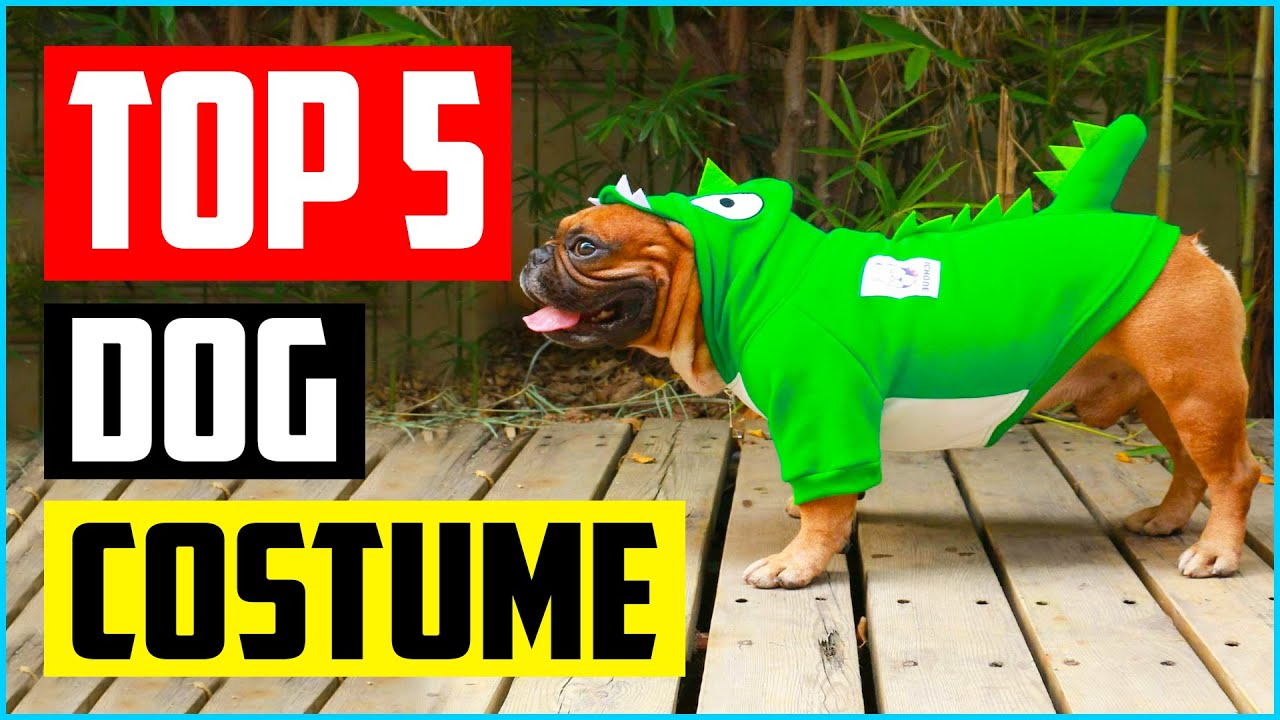 Top 5 Best Funniest Dog Costume of 2021 Review