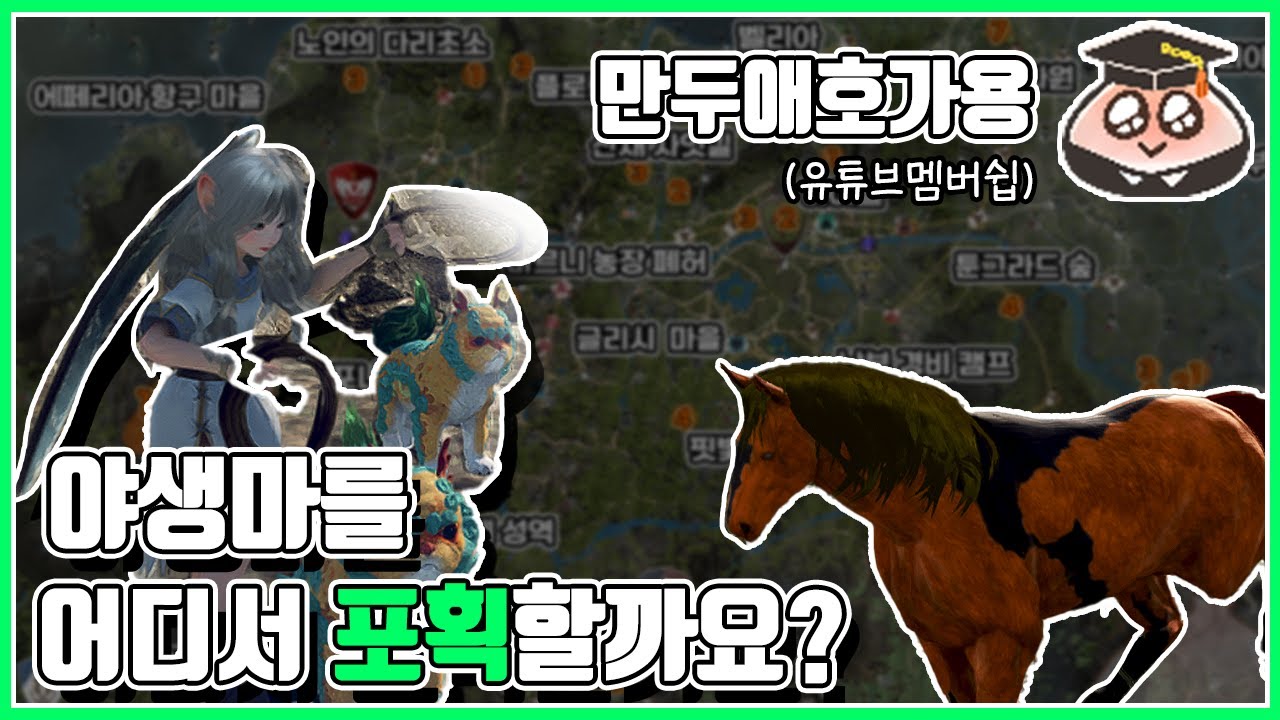 검은사막 모든 야생마 젠위치 소개#검은사막#야생마#말잡이