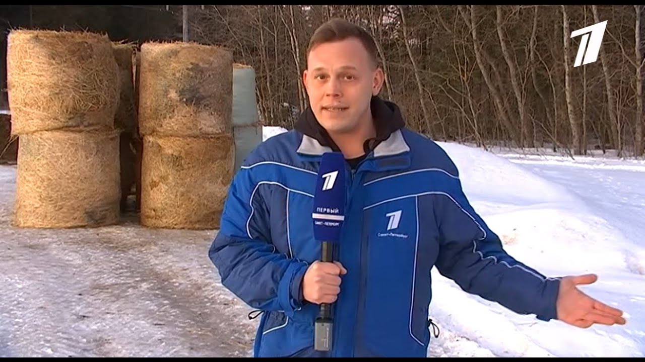 Наша Эко Ферма в репортаже 1 канала