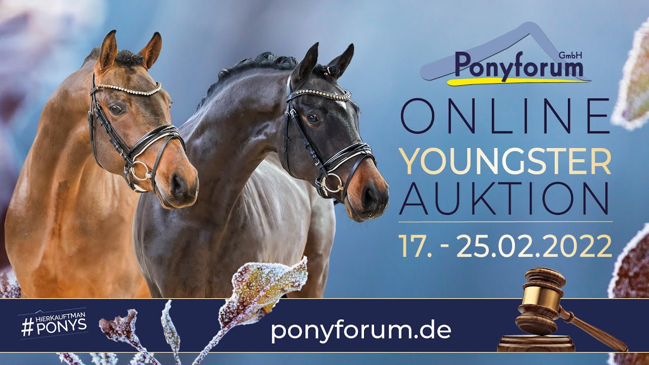DARK DYNAMIC K Stute 2019 v. HB Daily Sunshine / Dornik B