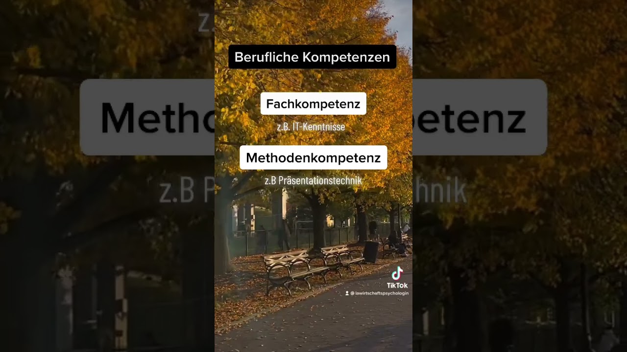 Kennst du die 4 beruflichen Kompetenzen?