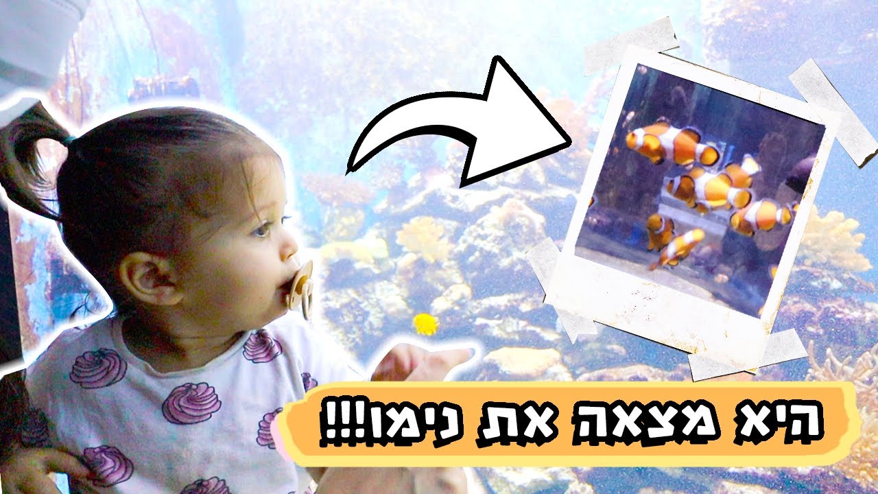 תמרי מצאה את נימו!!!