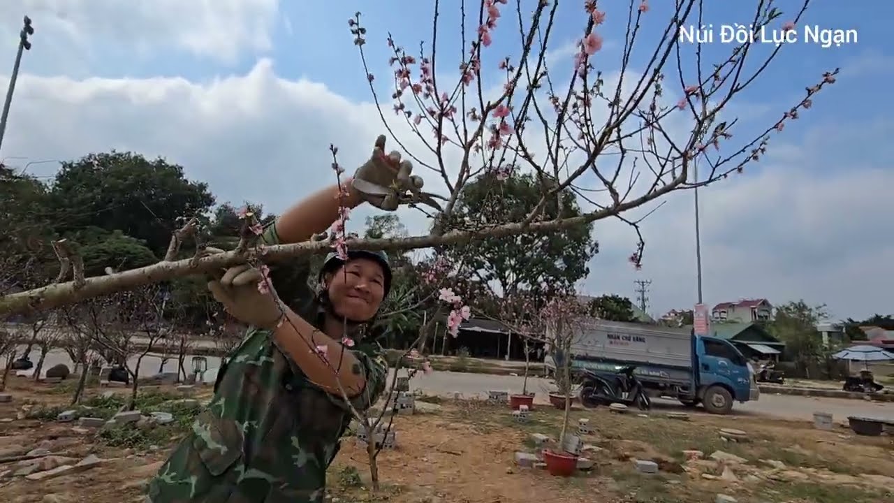 CHỢ TẾT CHIỀU TẤT NIÊN CHÁY  ĐÀO QUẤT KHÉT LẸT I NÚI ĐỒI LỤC NGẠN 