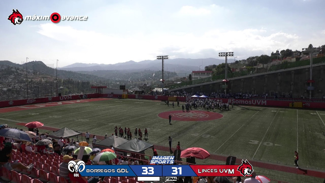 M&Aacute;XIMO AVANCE EN VIVO: BORREGOS GDL vs LINCES UVM | LIGA MAYOR | ONEFA | TEMPORADA 2025