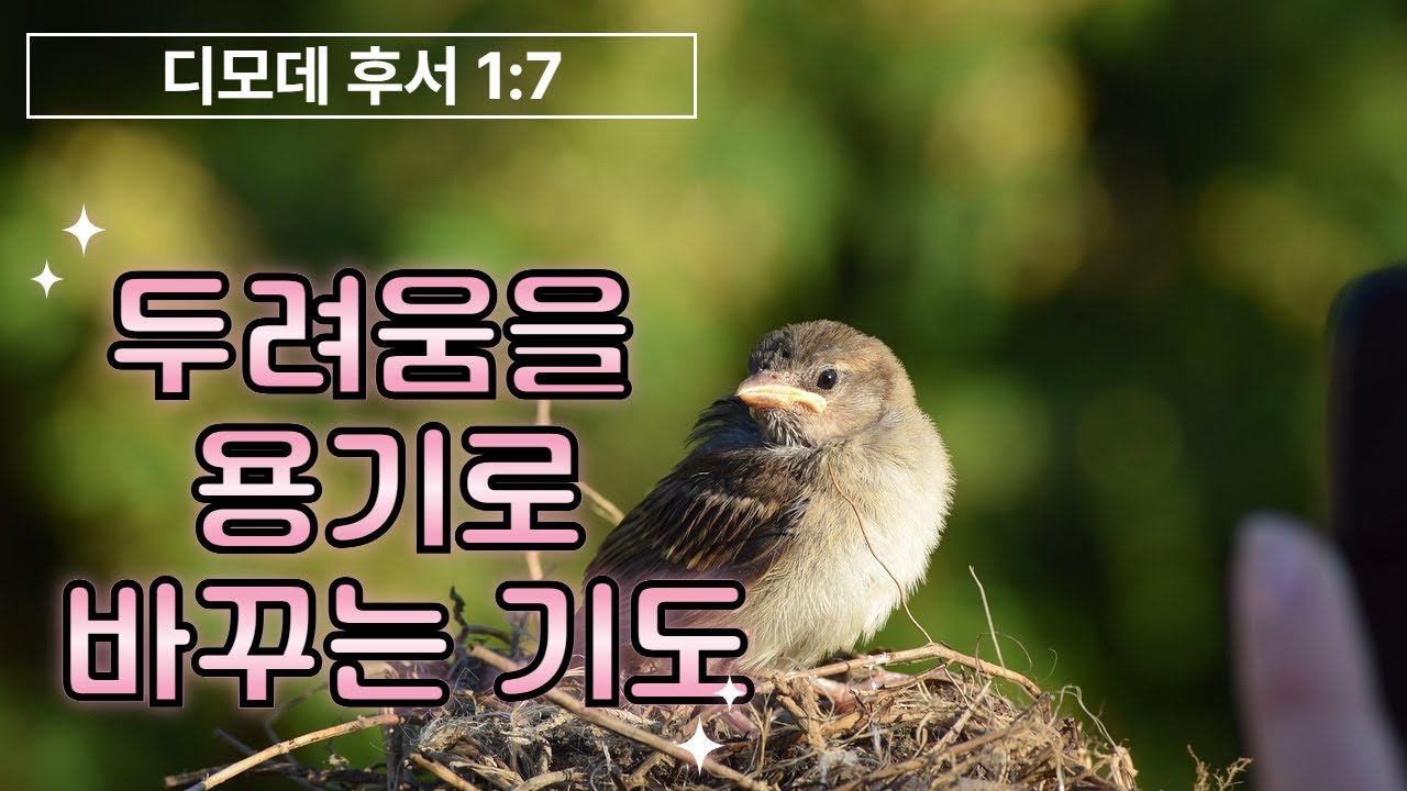 불안한 마음을 한순간에 잠재우는 강력한 말씀 | 두려움을 이기는 담대함 #디모데후서1장7절 #두려움극복 #용기 #성경말씀 #오늘의말씀