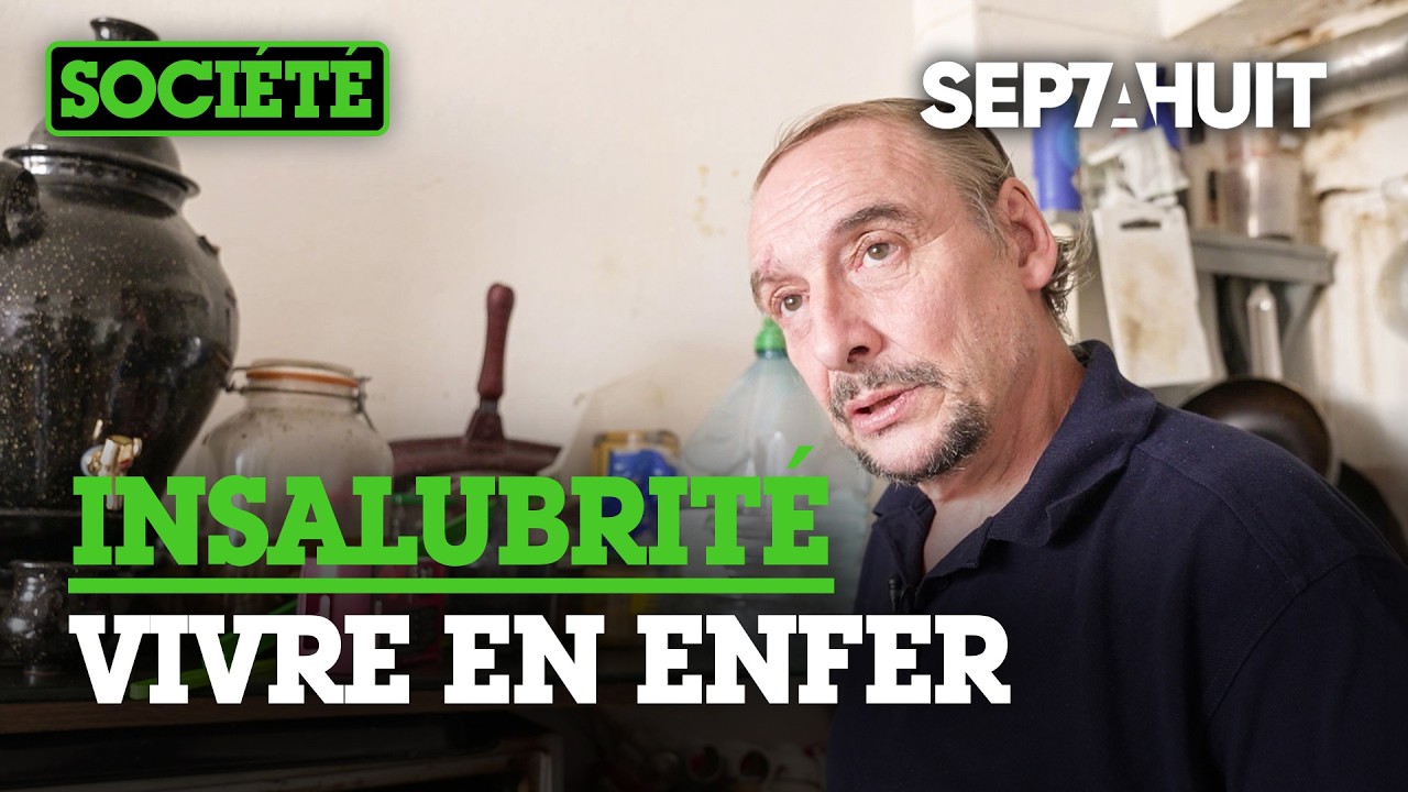 Marseille : l'enfer des logements insalubres | Sept à Huit