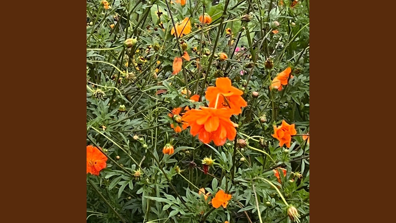 September