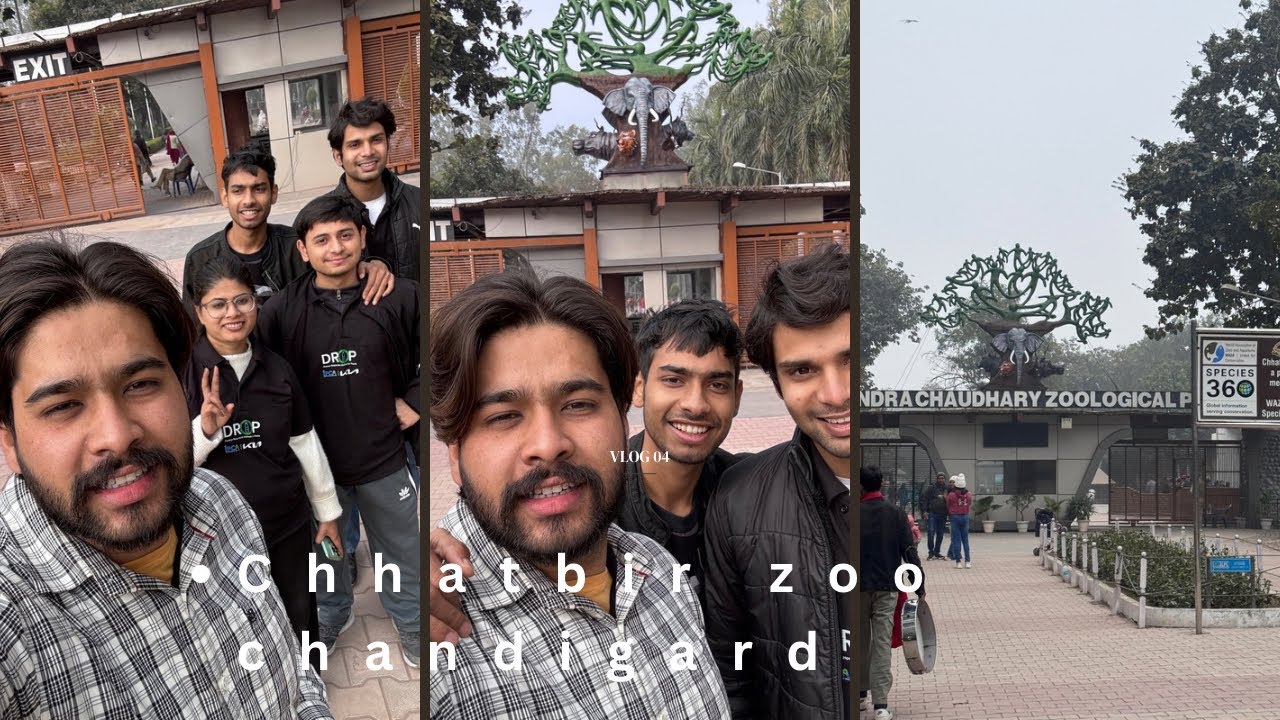 Aaj hum zoo ghumne gae the 😁#minivlog #vlog #shortvideo #trending #zoo #chandigarh 