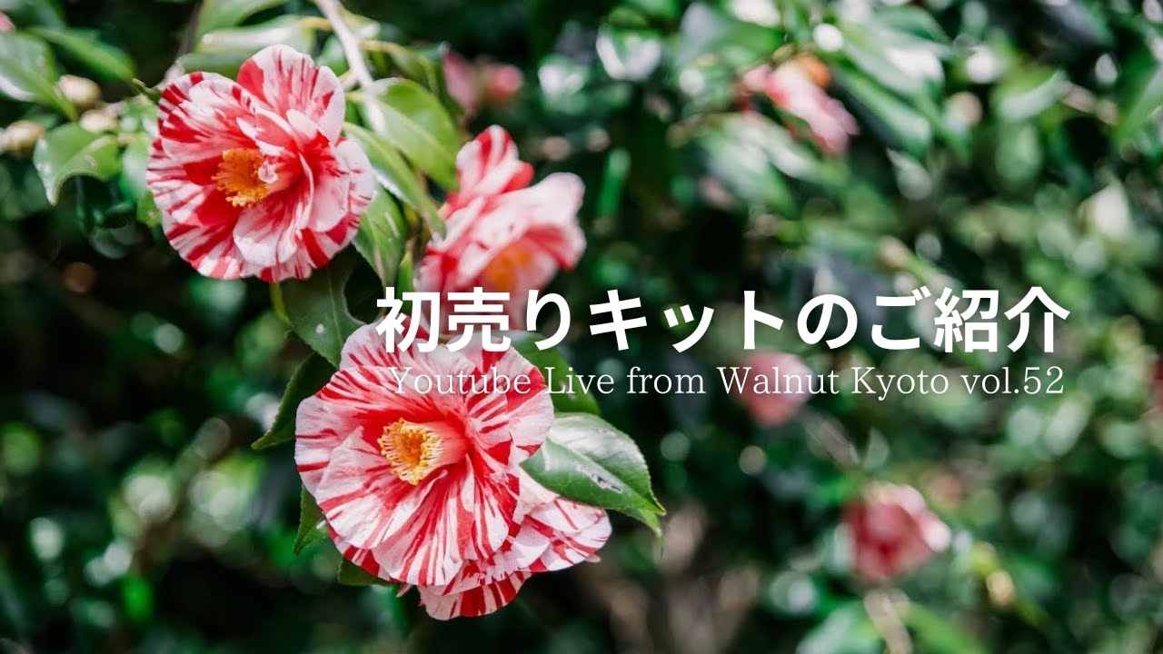 初売りキットのご紹介[Youtube Live from Walnut Kyoto vol.52]