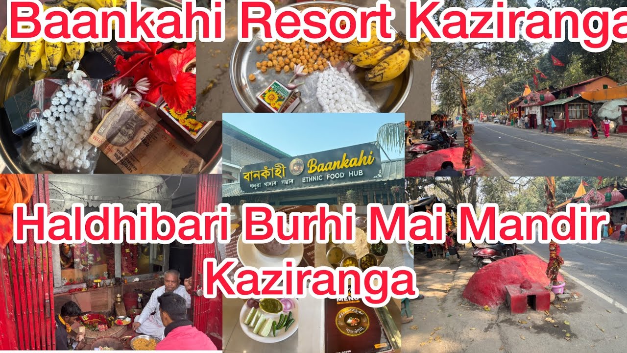 Haldhibari Burhi Mai Mandir 🙏 in Kaziranga Assam || Baankahi Resort Kaziranga || 